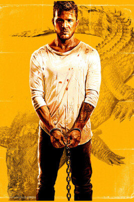Catch Hell - Wall Art Decor Movie Poster 18'' X 28''