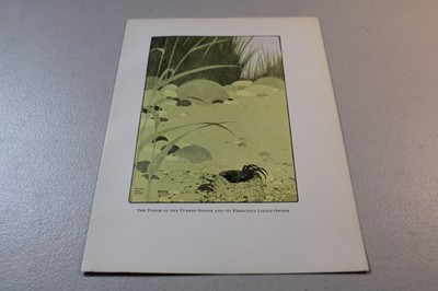 1906 Walter King Stone Print ~ TURRET SPIDER TOWER AND ITS OWNER