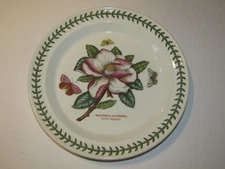 Portmeirion Botanic Garden 10.5" Dinner Plate Magnolia Altissima England