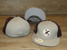 Paterson Panthers Defunct AFL Football Stall & Dean Fitted Hat Cap Size 7 5/8