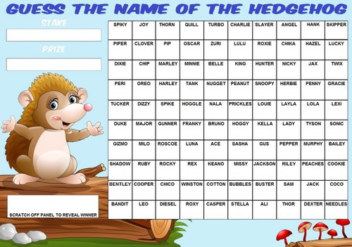 CLEARANCE Football Team and Guess the Name Scratchcards Fundraising Card Game - Picture 10 of 18