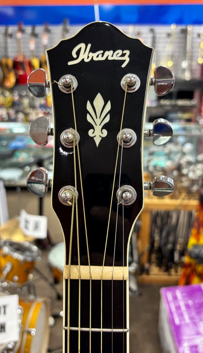 【エレアコ】Ibanez AEG12II-NMH Ibanez AEG12II-NMH | MUSIC STORE professional