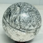 Natural Insectconch fossil crystal Ball Quartz Crystal Sphere Reiki Healing2820G — photo 9
