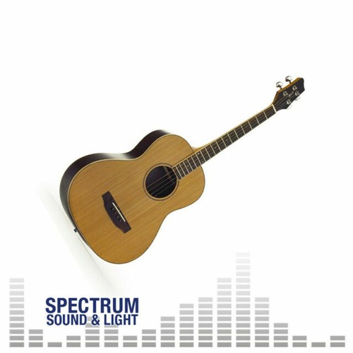 Aria Acoustic Guitar AMB 35 BS (Pickup not included) new strings