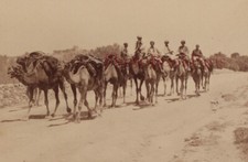 Caravane de Chameaux Afrique du Nord Photo Stereo Hentschel Vintage 1908