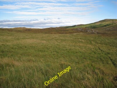 Foto 12x8 Grasmoor Totardor Üppiges Gras wächst auf flacherem und mo c2013