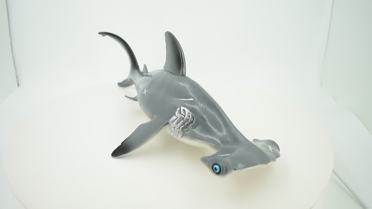 Hammerhead Shark with Battle Scars, Realistic Toy Figure