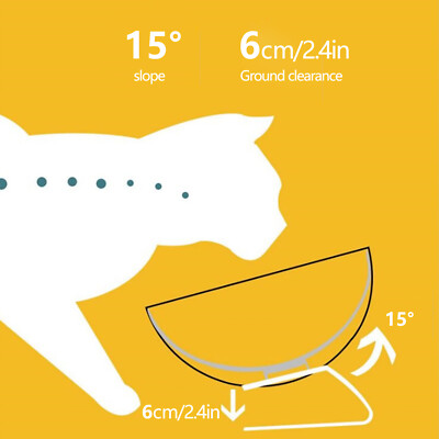 Cat Feeding Bowl with Tilted Design, Dual 359ml Bowls for Food and Water, N