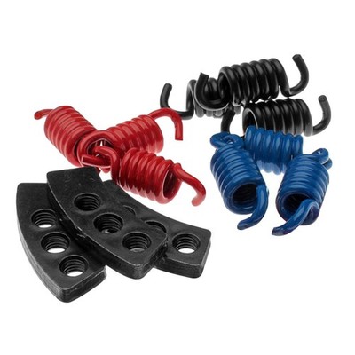 Set Kupplungsfedern Delta MALOSSI 50 2T 4T Zip NRG Runner SP Vespa LX ET2
