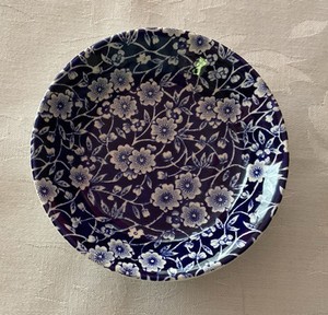 Burleigh Calico | eBay Australia