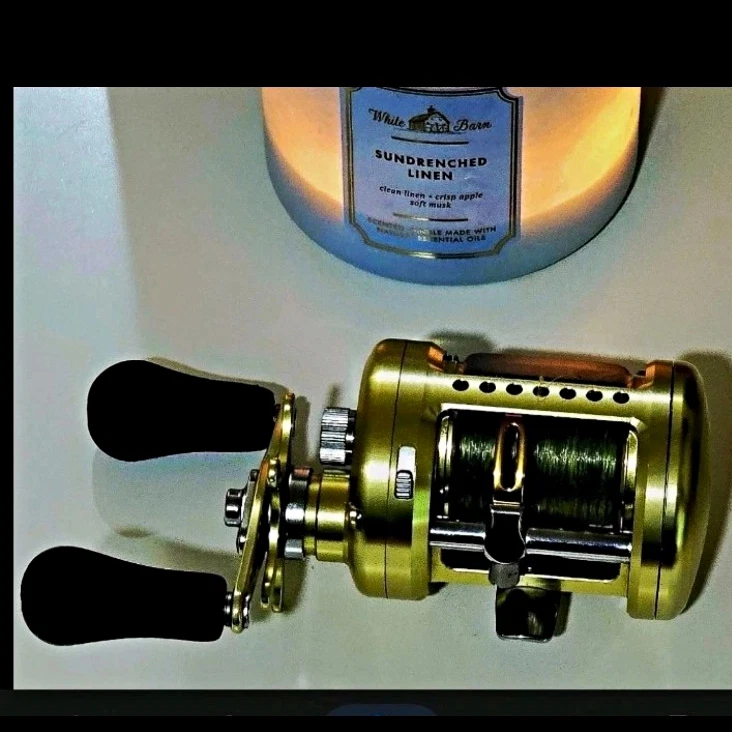 Daiwa Luna for sale - eBay