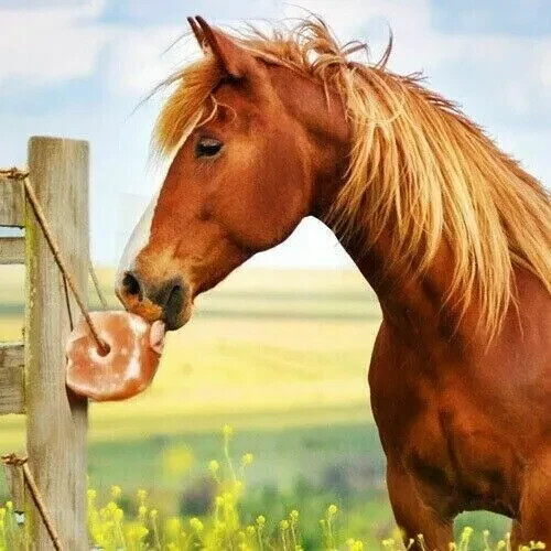 2-Premium Himalayan Salt Lick Blocks 6LB AFFORDABLE for Equine Deer LIMITED TIME