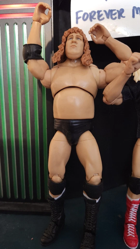 WWE MATTEL ULTIMATE EDITION CUSTOM FREEBIRDS Foto 3 de 4