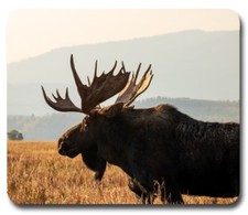 BULL MOOSE  Mousepad / PC Mouse Pad  Gift for Hunter Hunting Outdoors Wild