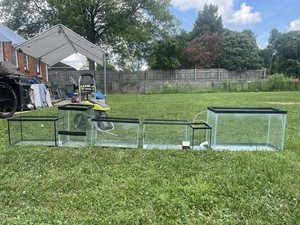 Lot of Glass Rectangle 10 gal Aquariums/Fish Tanks 20 in Wide w/ Metal Stand
