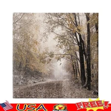 Stretched Canvas Wall Art Landscape Nature Outdoor Decor Ready to Hang 17in New