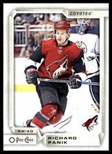 2018-19 O-Pee-Chee #442 Richard Panik Arizona Coyotes Hockey Card
