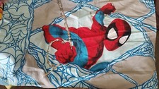 MARVEL SPIDER-MAN  Spiderman Barbwire Reversi...