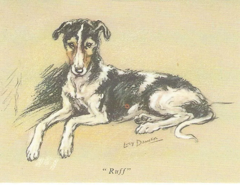 Lucy borzoi 2025