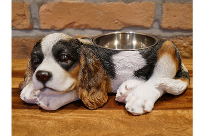cocker spaniel feeding bowls