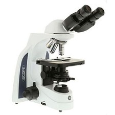 Euromex iScope für Phasenkontrast IOS IS.1152-PLPHi binokulares Labormikroskop