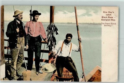 52227176 - Toronto One Day`s catch Black Bass Killamey 1907