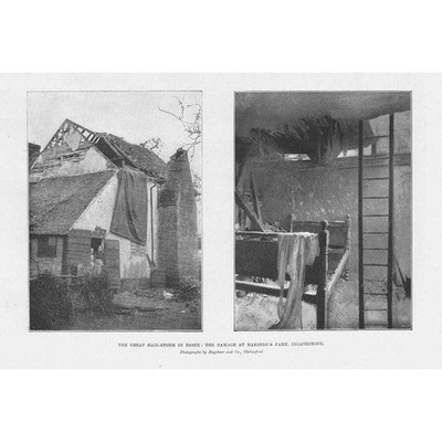 INGATESTONE Essex, Damage Caused by Hail at Harding's Farm - Antique Print 1897
