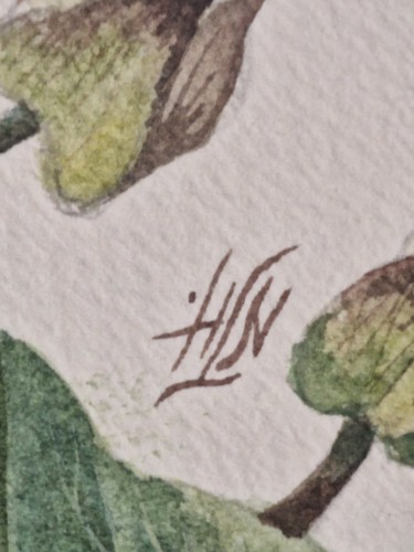 Vintage Original Botanical Watercolour Wildflowers & Convolvulus, Monogrammed (photo 3)