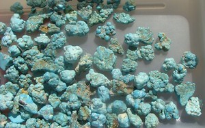 Darling Darlene Spiderweb Turquoise Un Drilled Nuggets Beads NEV 850 KTS 