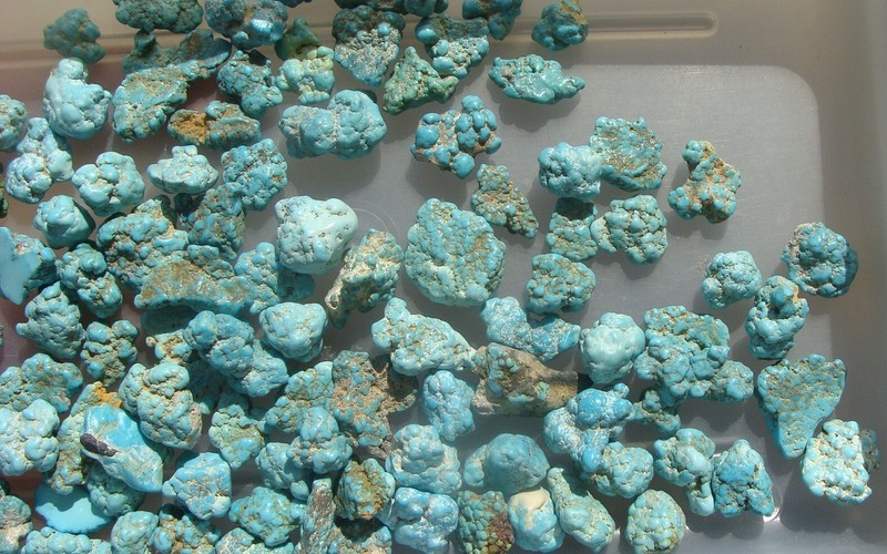 Darling Darlene Spiderweb Turquoise Un Drilled Nuggets Beads NEV 850 KTS 