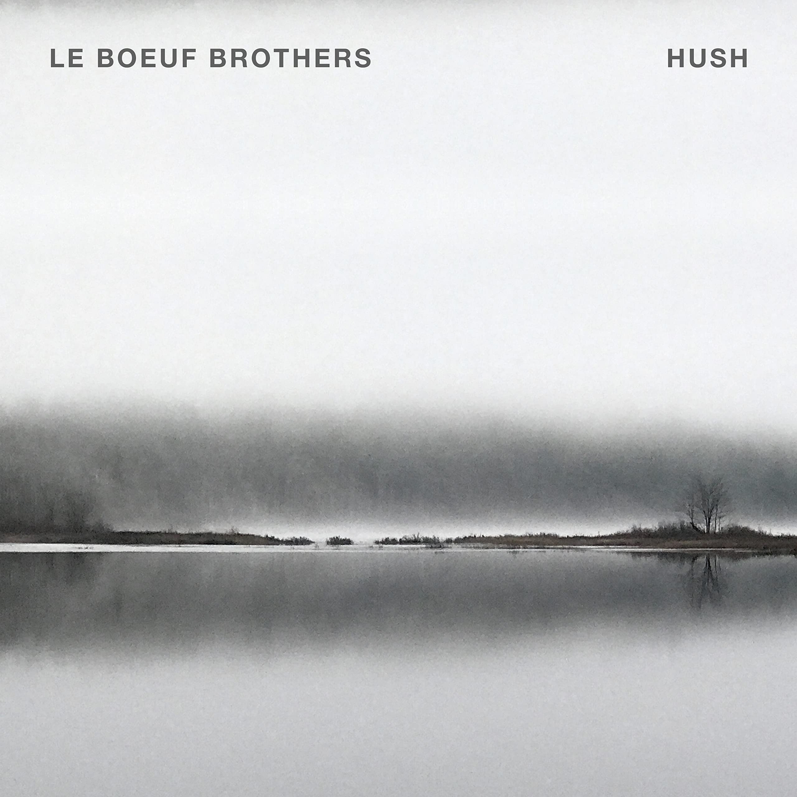 Le Boeuf Brothers HUSH (CD)