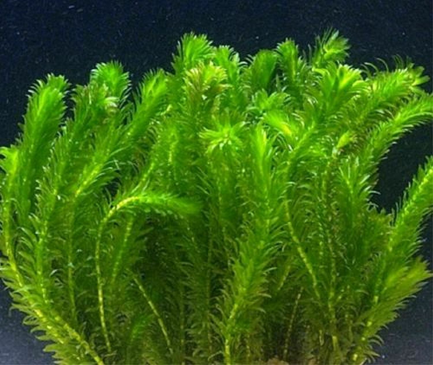 Foto 1 di 3