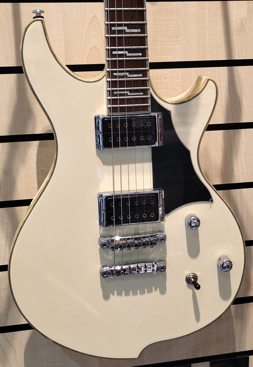 Ibanez | Darkstone Serie | DN500 | Vintage White  