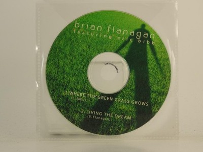 BRIAN FLANAGAN FT ERIC BIBB WHERE THE GREEN GRASS GROWS (H1) 2 Track Promo CD Si