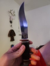 Vintage US  Shark Boulder Colorado Hunting Fighting Knife