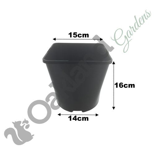 Square Plant Pots 7cm 9cm 11cm 1 2 3 5 Litre Plastic Flower Hydroponic Pot - Picture 24 of 31