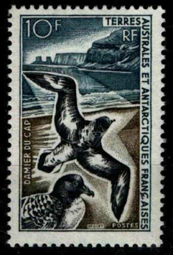 FRANCE - Bloc N° Yvert F 4350 Neuf XX - Albatros Manchots 2009