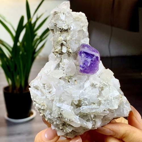 359G Natural purple cubic fluorite+white crystal Cluster Specimen - Picture 15 of 24