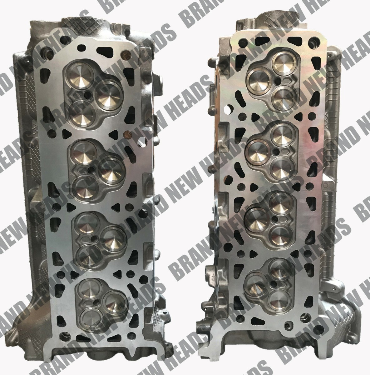 HEAD COURSE 154 × HEAD NX Freshwater Johnson Evinrude OMC Cylinder