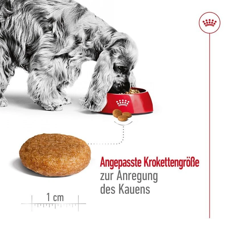Royal Canin Medium Adult Hundefutter 15kg Trockenfutter Mittelgroße Hunde - Bild 4 von 4