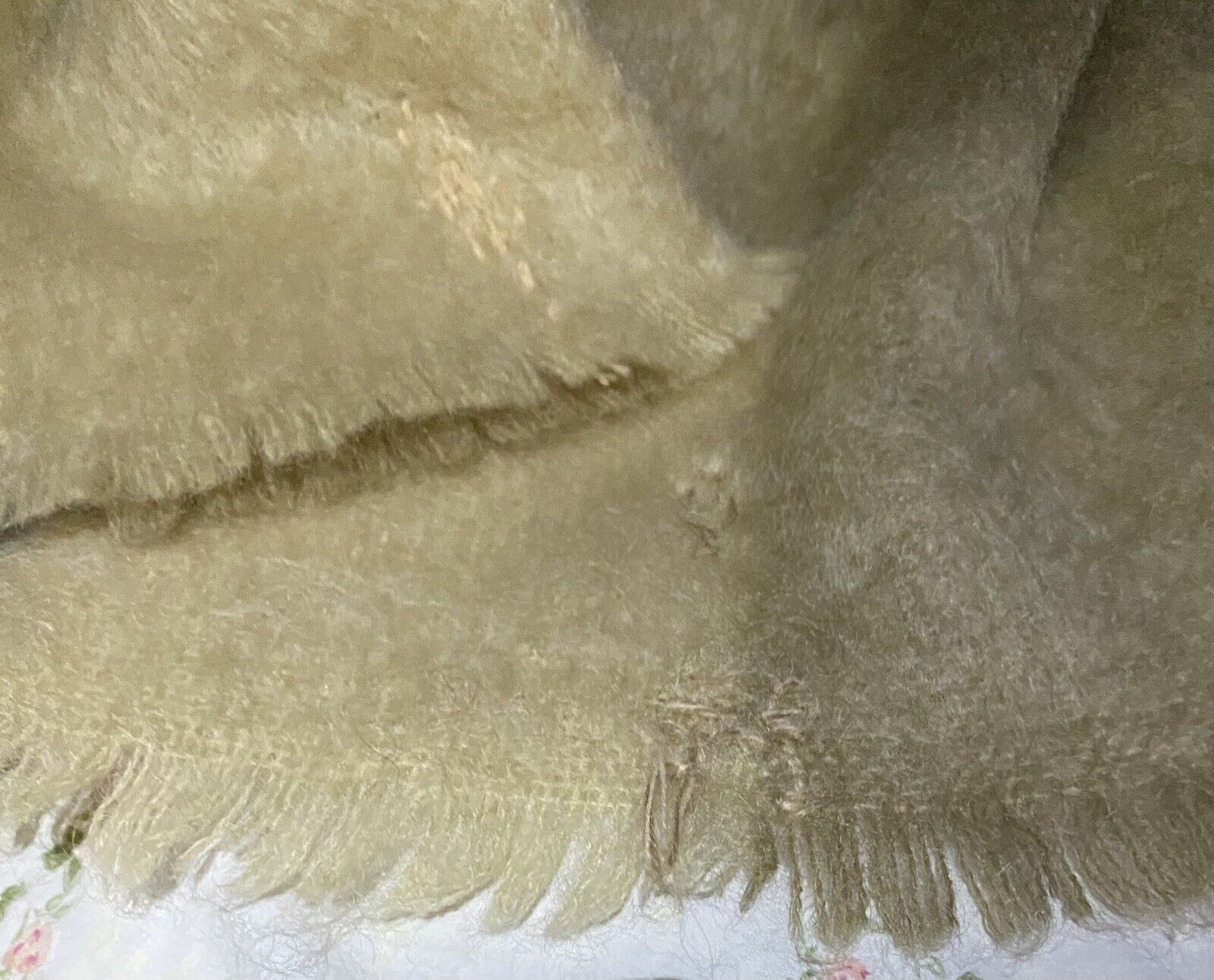 Picture 19 of 21
