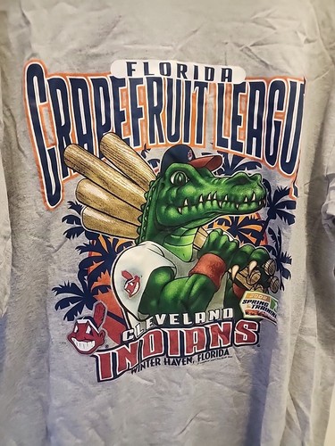 Cleveland Indians Grapefruit League 2002 Spring Training T-Shirt Size L As Is - Picture 7 of 10