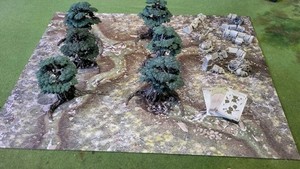 Warhammer AOS Age of Sigmar Warcry Souldrain Forest Terrain Set Painted