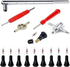 25pcs Tyre Valve Stem Puller Tools Set 10pcs Tr412 Snapin Valve Stems With 10pcs