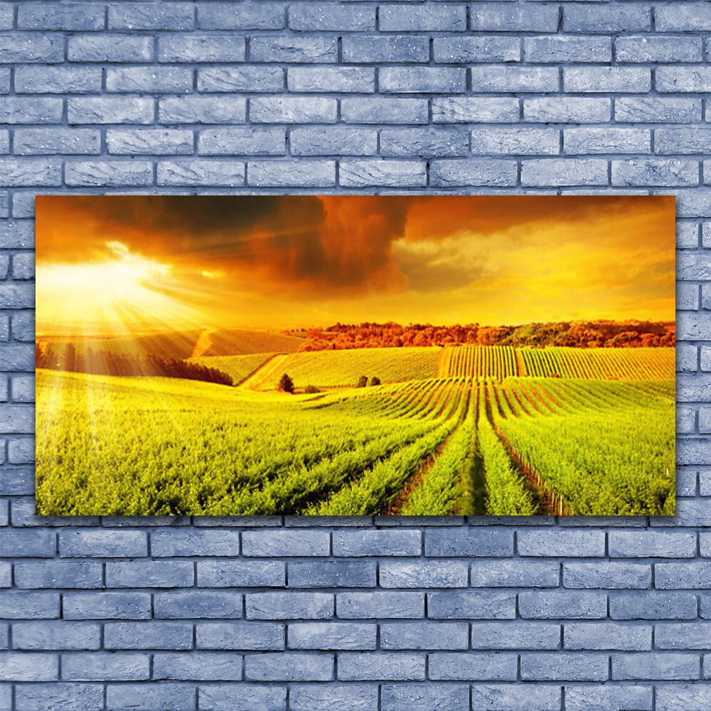 Tableau plexiglas 140x70 cm à impression UV direct pour intérieur moderne