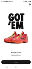 Kobe 6 Reverse Grinch FV4921-600 Size 14 In H...