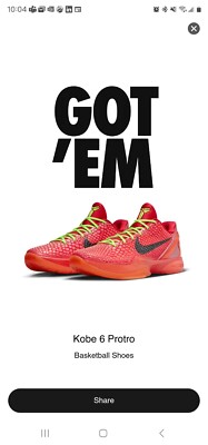 Kobe 6 Reverse Grinch FV4921-600 Size 14 In Hand
