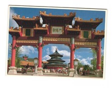 Disneyland Postcards WALT DISNEY PHOTO PRINTS...