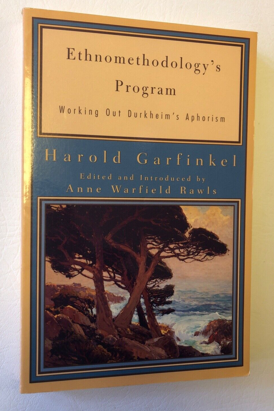 Ethnomethodology's Program by Harold Garfinkel, 2002