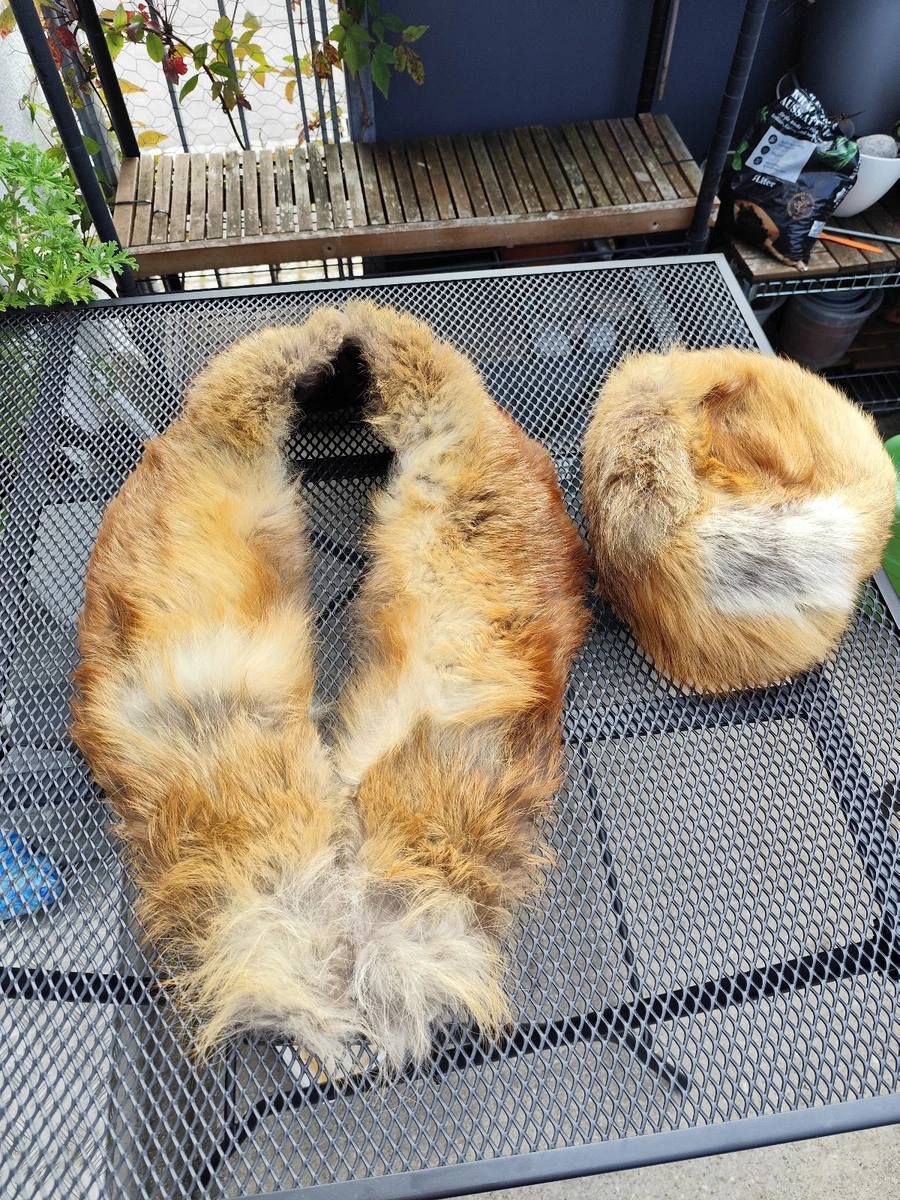 Fuchsfell Rotfuchs Kürschnerware SET Mütze Kappe & Stola unbeschädigt Pelz Fell